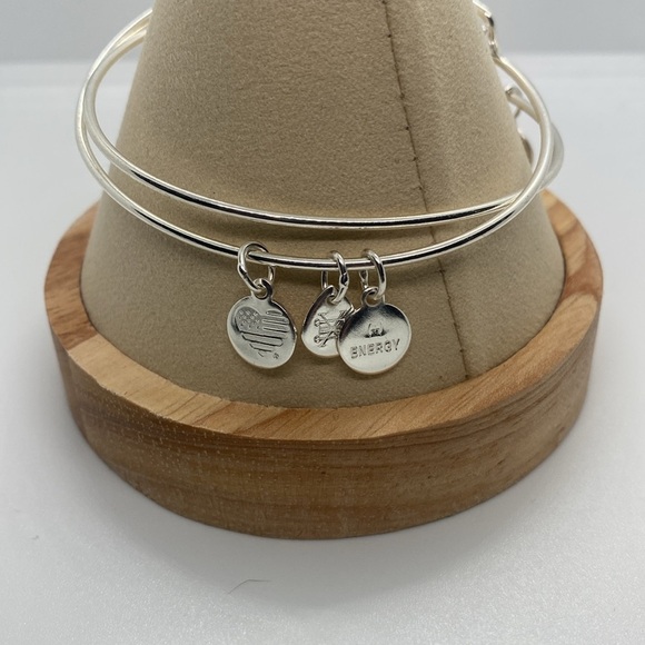 Alex & Ani Set of 2 Shiny Silver Bangles /Family/Colored Heart Charms/EUC - Picture 4 of 9